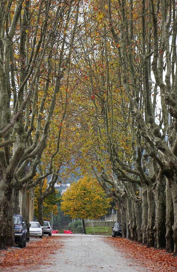 Апартаменты Douro - A Casinha Da Ana Вила-Реал Экстерьер фото